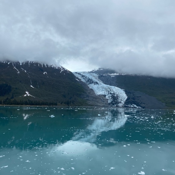 Meet your Posher, Nina - Picture 1 of 1